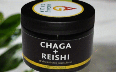 Caga (beržo grybas) – pirmas žingsnis link sveikesnio gyvenimo