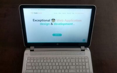 Internetinių svetainių kūrimas Alytaus mieste su www.e-project.lt komanda