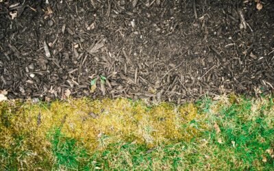 Toptvarka komanda: profesionalios mulčiavimo paslaugos jūsų poreikiams