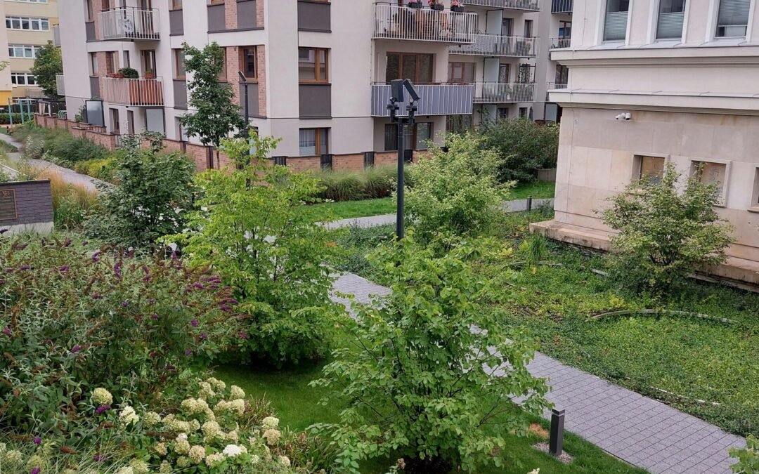 Apželdimo paslaugos daugiabučių namų kieme ir kvartaluose su Toptvarka.lt komanda